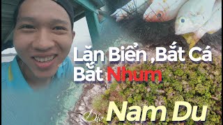 Đảo Nam Du | Hòn Đảo Ma Mị |Câu cá Lặn Bắt Nhum và Ngắm san hô|Phần 1 #Namdu #dulichnamdu #Dulichbui