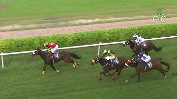 JIMMY BEE wins The Loch Clieveden Handicap