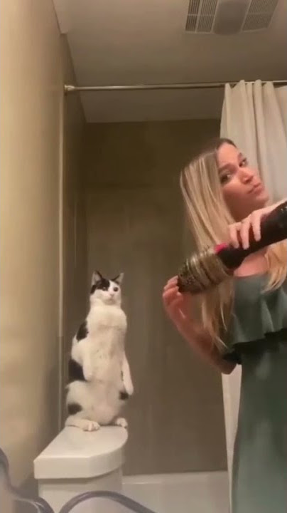 Best ABPV Videos - Episode 296