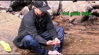 Elephant in Battle - Dhammapada