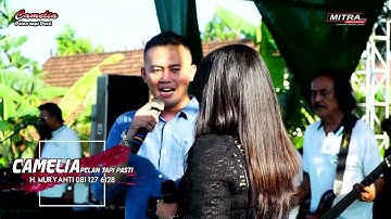 CAMELIA PELAN TAPI PASTI-PERTEMUAN-SUMBANGAN-WEDDING AGUS & LUSI-ADR AUDIO