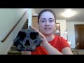 Species Shorts: Paranthropus aethiopicus