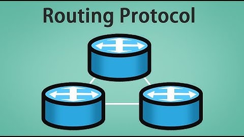 Most common routing protocols (OSPF, BGP, RIP).
