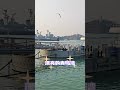 漂亮时尚大气的青岛湾栈桥码头海鸥追船 大海波光粼粼 远山近黛 接下来的青岛是这样的 青岛冬日浪漫氛围感上线 冬天的青岛太好逛了 好客山东好品山东 青岛 路人视角 美景 漂亮时尚大气的青岛湾栈桥码头海鸥追船 大海波光粼粼 远山近黛 接下来的青岛是这样的 青岛冬日浪漫氛围感上线 冬天的青岛太好逛了 好客山东好品山东 青岛 路人视角 美景