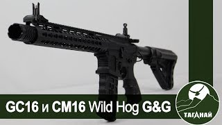 [Обзор от СК Таганай] GC16 Wild Hog 9" G&G. Сравнение с CM16 Wild Hog. Тактикульная эмочка.