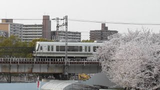 【桜】JR西日本 221系 普通天王寺行 淀川橋梁 通過