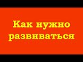 Как нужно развиваться