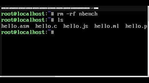 bash delete all files in a directory