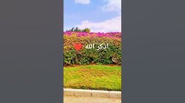 مقطع بصوت هادئ قرآن كريم #قرآن #الرحمن #اكسبلور #المصحف #دويتو #duet #لايك #تيك_توك