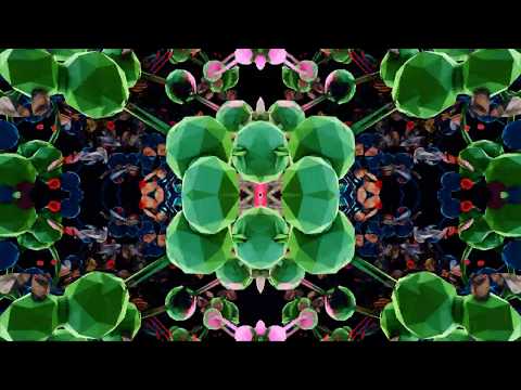 Ver Toadface - Perpetually On One Vol.2 (Microdose VR) en YouTube