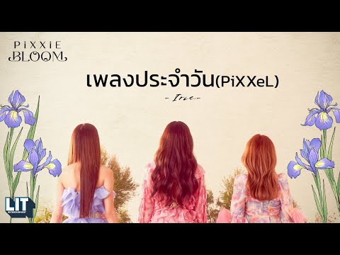 คอร์ดเพลง เพลงประจำวัน PiXXiE