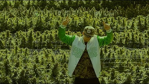 Mendo Dope "All I See Is Green" - Official Music Video