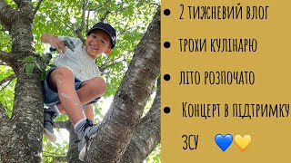 83. Будні вишивальниці (21.06.2022-4.07.2022). Вишивка хрестиком.
