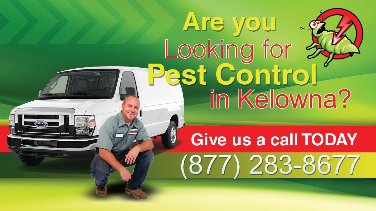 Pest Control Kelowna (877)2838677 24 Hour Emergency Exterminator