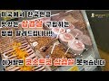 [미국일상] 미국에서 한국만큼 맛있는 삽겹살 구입하는 방법 알려드립니다!! 이거알면 코스트고 삽겹살 못먹습니다.