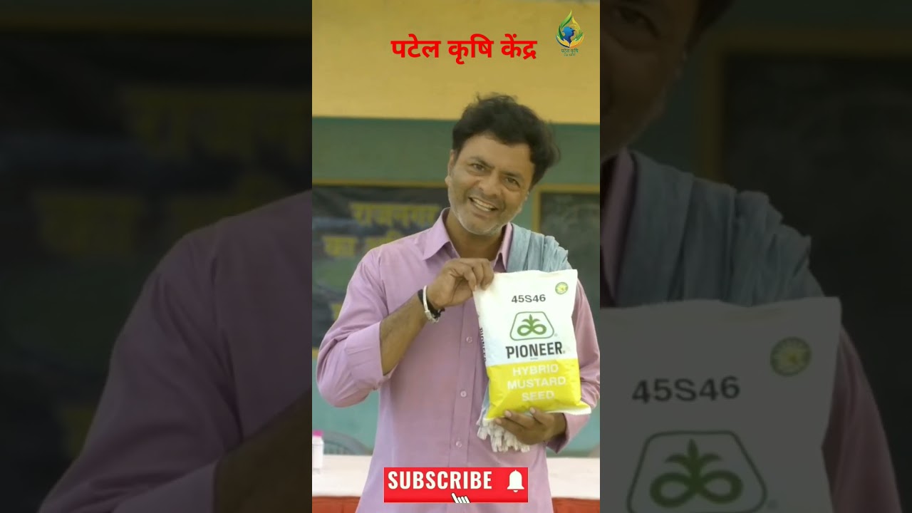 पायनियर 45S46 सरसों की बेहतरीन किस्म l pioneer 45s46 sarso 