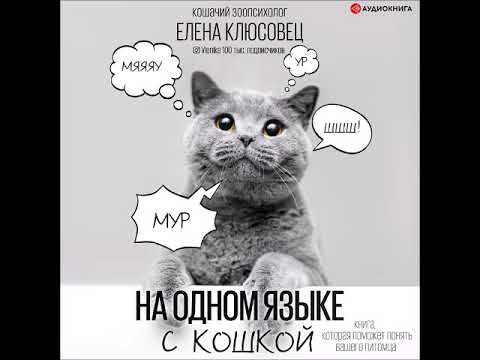 #Аудионовинка| Елена Клюсовец «На одном языке с кошкой»