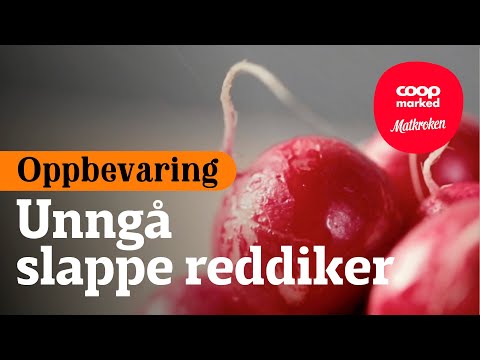 Video: Hvordan Lagre Reddiker Riktig