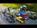 Transformers 5 (2017) The Last Knight Autobots Dinobots Vehicles Dinosaurs Dragon Car Robot Toys