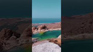 Have you Seen This Island? #Socotra #Yemen #MindBlown