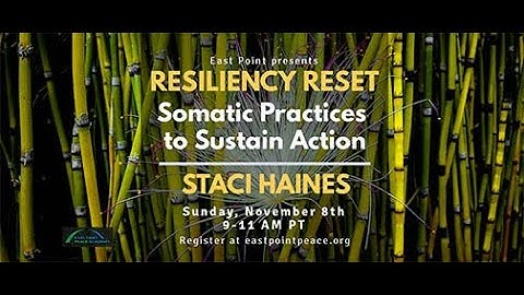 Resiliency Reset: Somatic Practices to Sustain Action w. Staci Haines