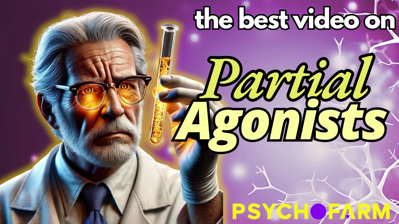 What Is a Partial Agonist (Partial Agonist Pharmacology Made Easy, Full ...