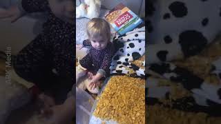 Cutest Kid Make Huge Mess