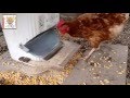 Tutoriel réalisation mangeoire automatique ( how to make automatic chicken feeder)