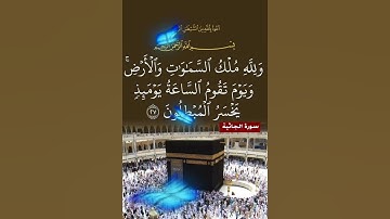 سورة الجاثية الآية ( 27 )