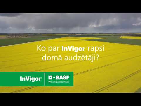 Video: Vai Ir Pietiekami Agri Attīstīties Vai Spēlēt?