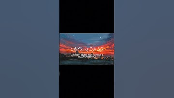 سورة النحل الآيات ( 68 - 69 )                           Surah An-Nahl, verses (68-69)
