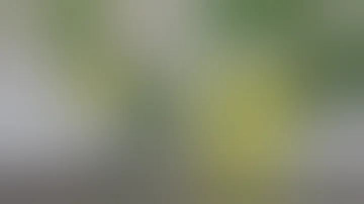 Benefits of CBD (Part 2): CBD & CBG & CBN, Oh My! | Discover Marijuana