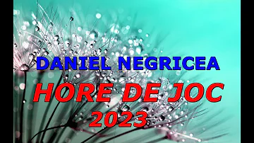 █▬█ █ ▀█▀  -HORE DE JOC- 2023 - DANIEL NEGRICEA - DOMN PROFESOR DANCIU