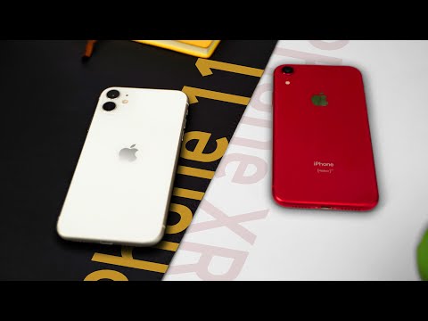 iPhone 11 и