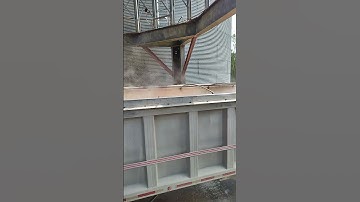 loading out corn. #farmingtraditions #farming101 #agriculture #farming #ihavethisthingwithplants