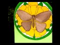 Glistening Butterfly & Flower Chair Back Glistening Butterfly & Flower Chair Back