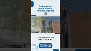 La industria petroquímica será una realidad