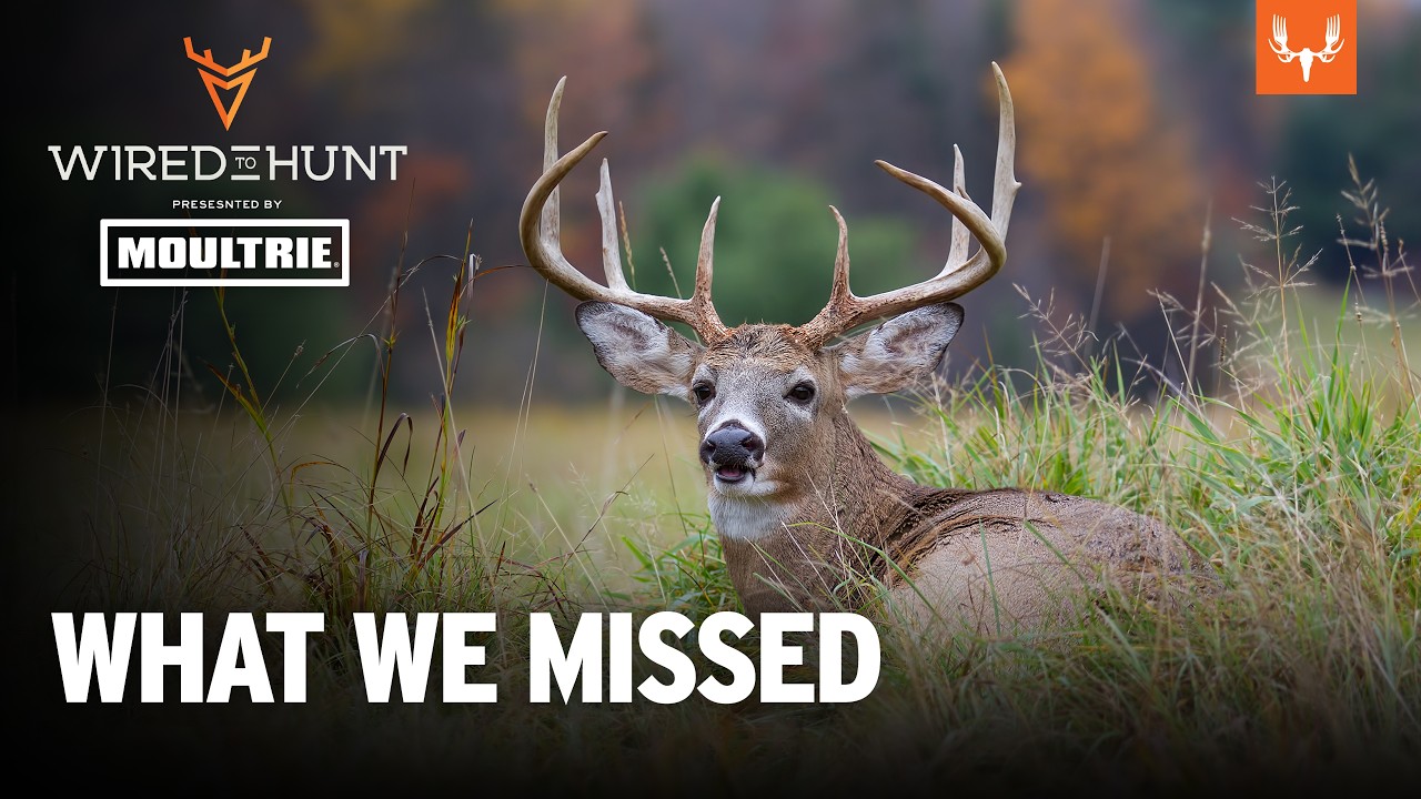 What Thermal Drones Revealed About Big Bucks | Wired to Hunt Ep.1051