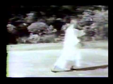 Cheng Man Ching Tai Chi Form