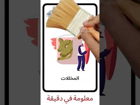 البروبيوتك مصادر البكتيريا النافعة معلومة في دقيقة 