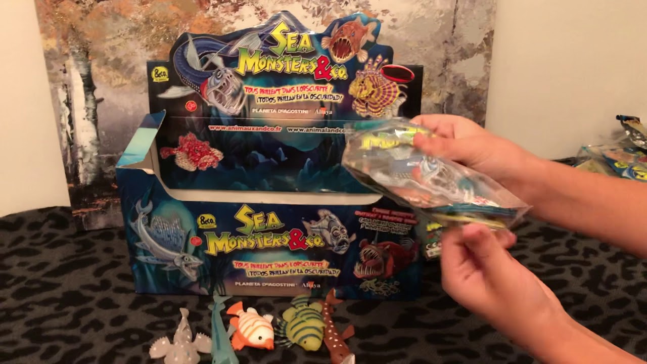 Présentation Sea Monster & co.