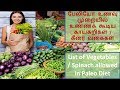         list of vegetables allowed in paleo diet