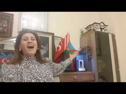 Azerin - Çırpınırdın Karadeniz ( #GönlümEveSığar Konserleri )