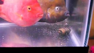 DSCN0491.AVI