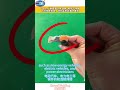 Welding wire harness and copper terminals with difussion welder