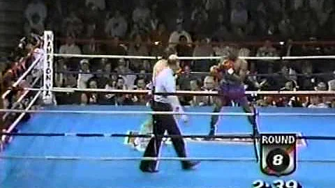 Pernell Whitaker vs Greg Haugen