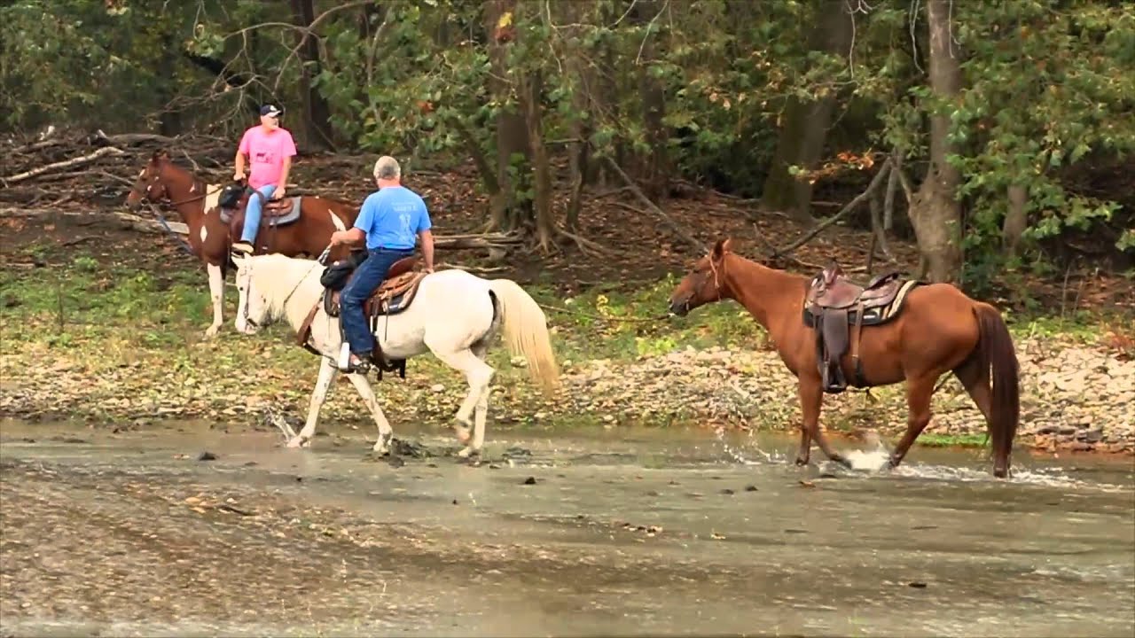 Riverman Trail Rides and Stables YouTube