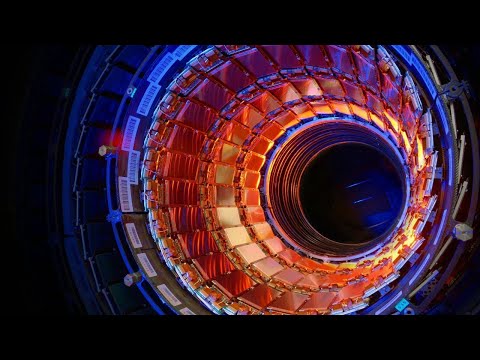 In diretta dal CERN: nel cuore della collisione per capire i primissimi istanti del nostro Universo