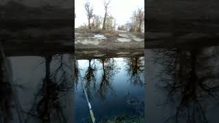 Северо крымский канал, рыбалка Азово-рисовый