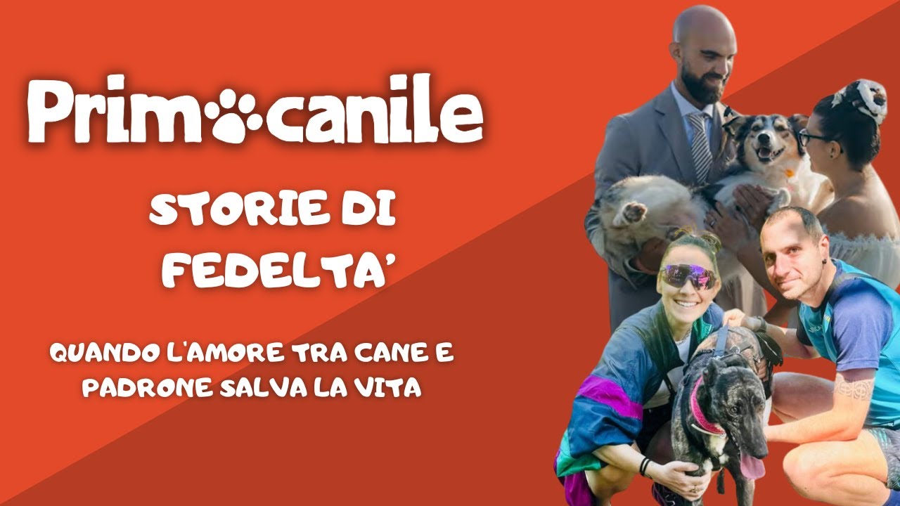 Primocanile - Quando l'amore tra cane e padrone salva la vita - YouTube